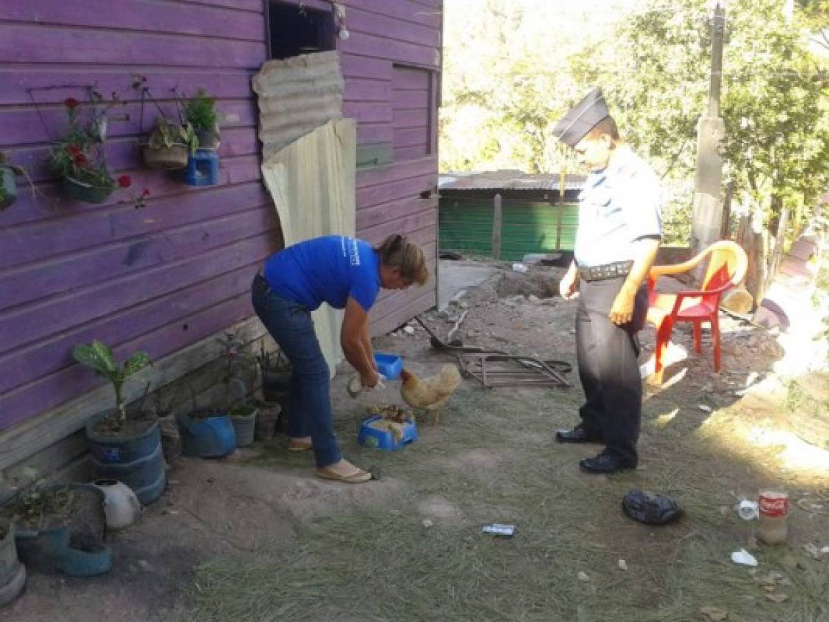 Honduras: El noble y valiente rescate de animales tras masacre en colonia Mirador de Oriente de la capital