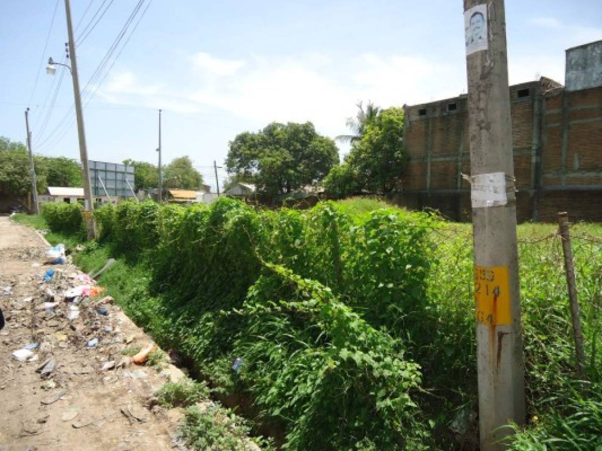 Honduras: Brote de dengue grave mantiene bajo alerta sistema sanitario de Choluteca