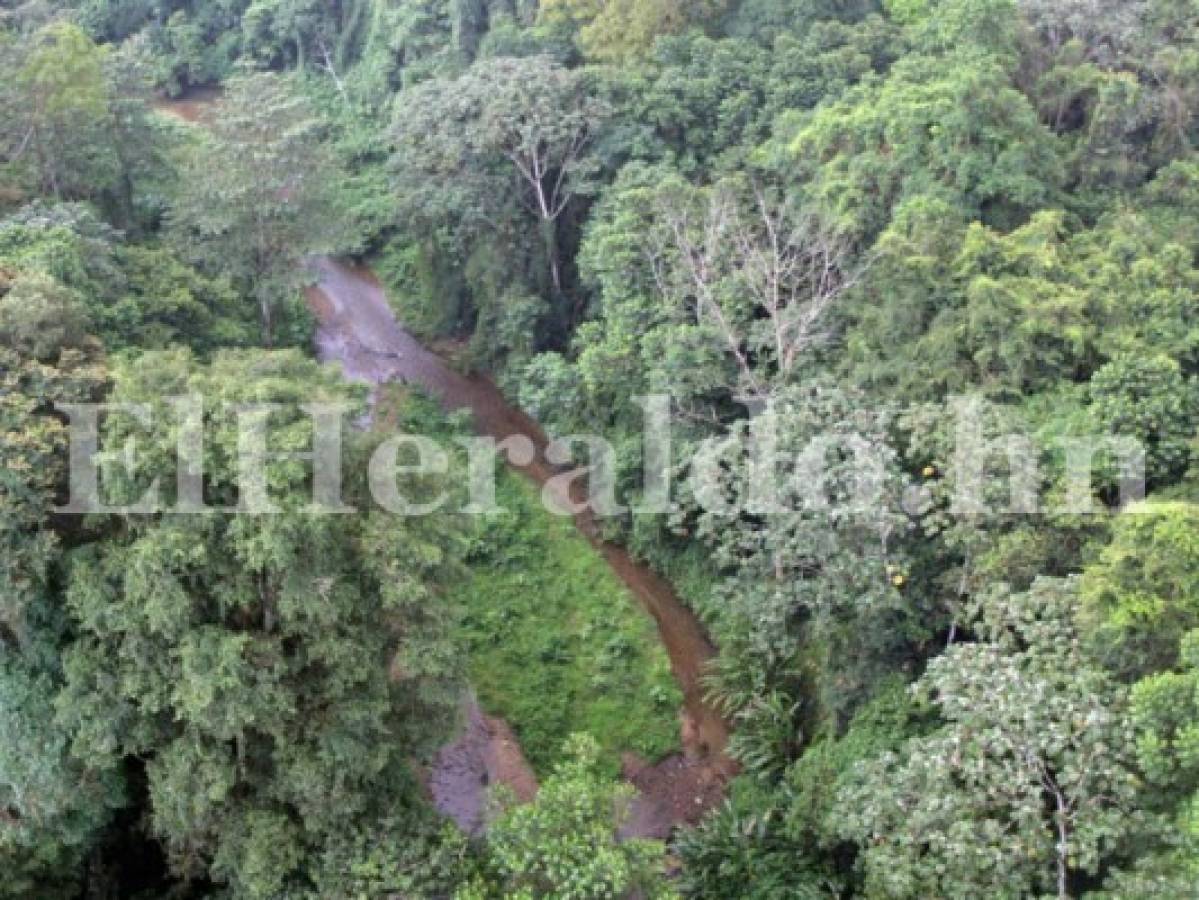 Honduras: La mítica Ciudad Blanca en La Mosquitia, una selva salvaje y milenaria