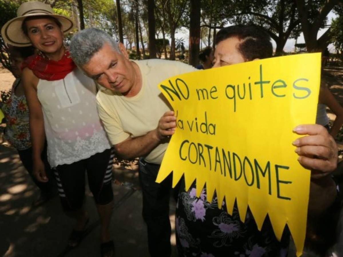 Ni un tan solo árbol cortado, claman vecinos de La Leona