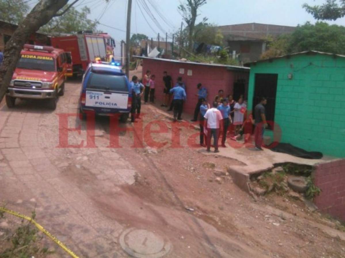 Hombre muere al ser atacado por abejas africanizadas en la colonia Las Palmas de la capital