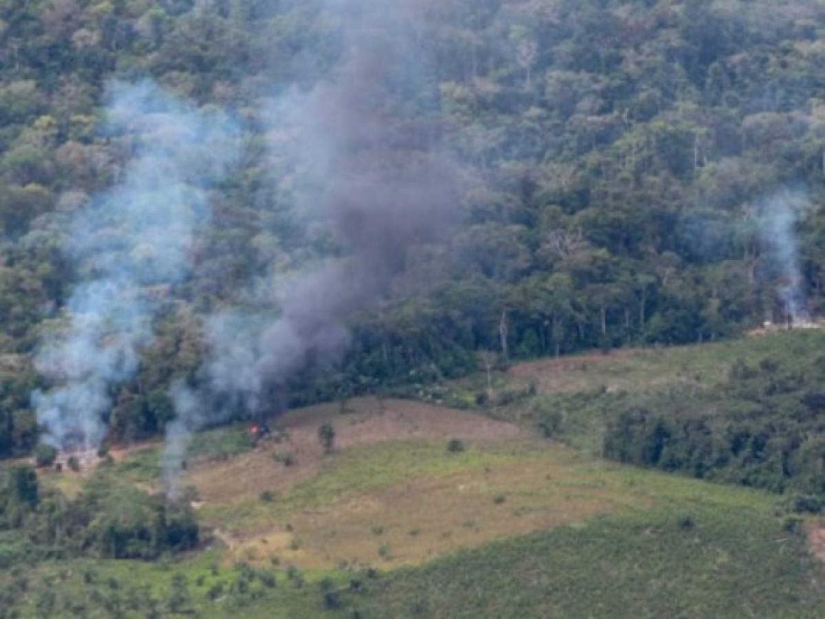 Perú desmantela cuatro laboratorios de drogas en frontera con Colombia y Ecuador