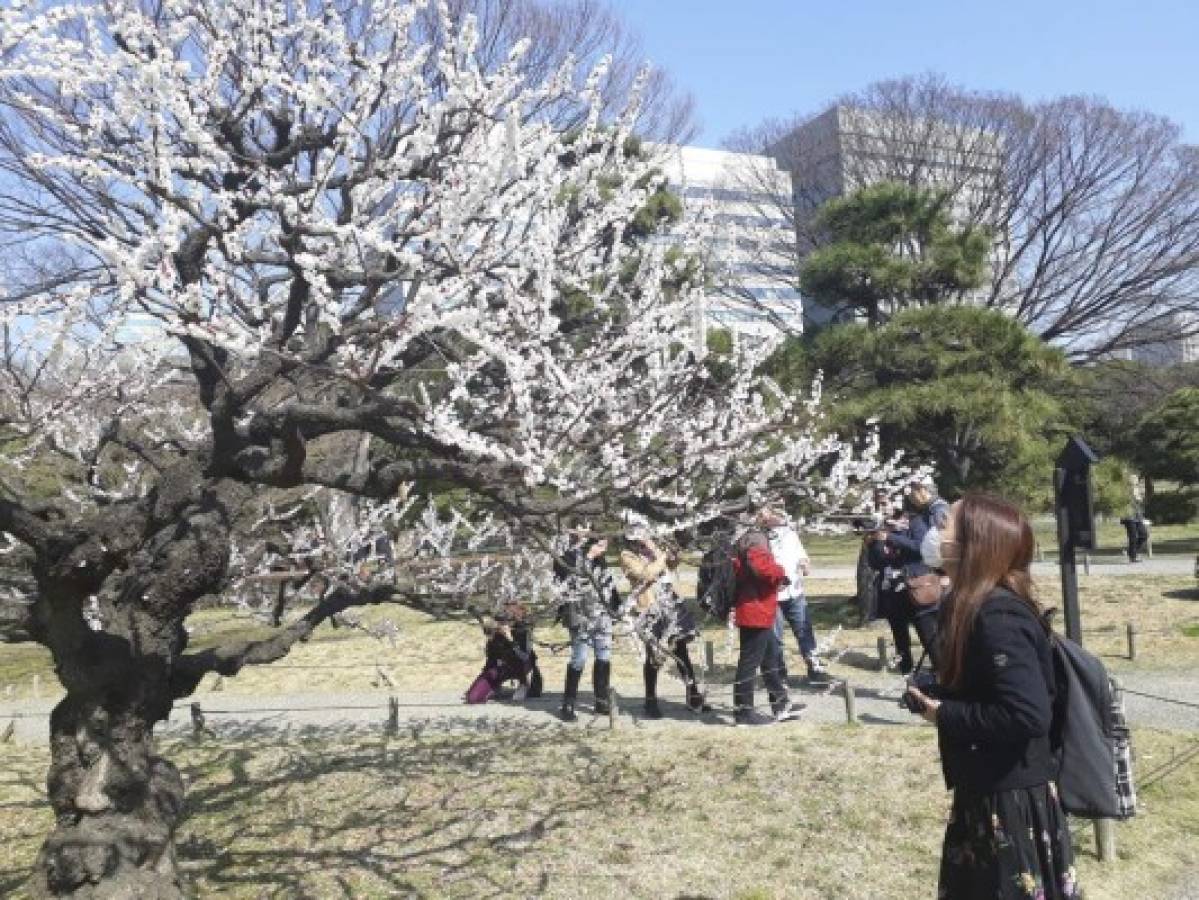 Los jardines de Tokio. Como el Hamarikyu, son espacios públicos donde las personas pueden disfrutar de la naturaleza y aire fresco.