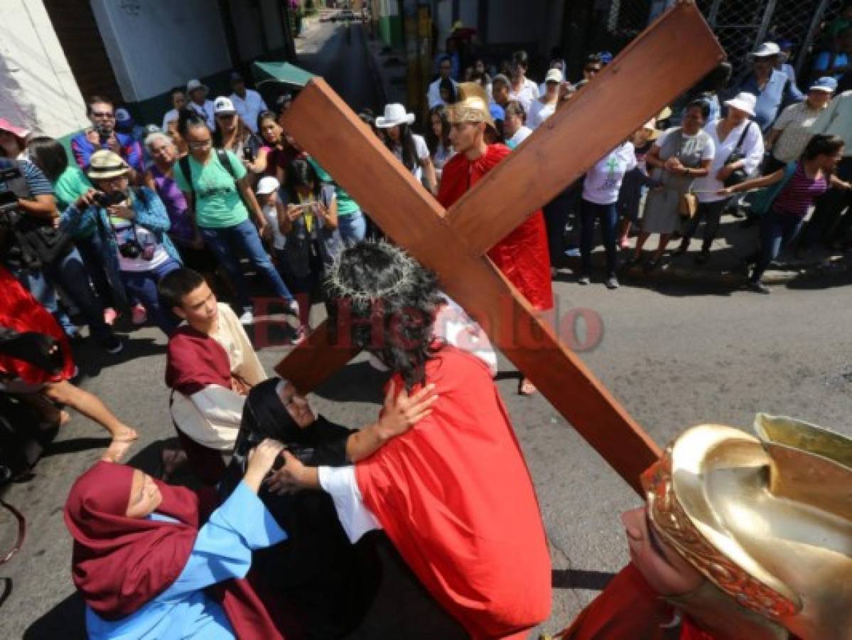 Católicos piden por el cese de la destrucción ambiental en viacrucis