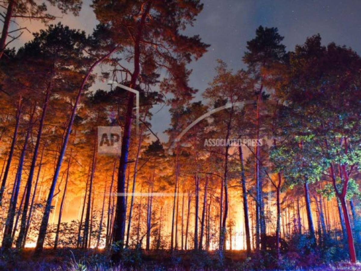 Incendio forestal en Alemania detona municiones enterradas  