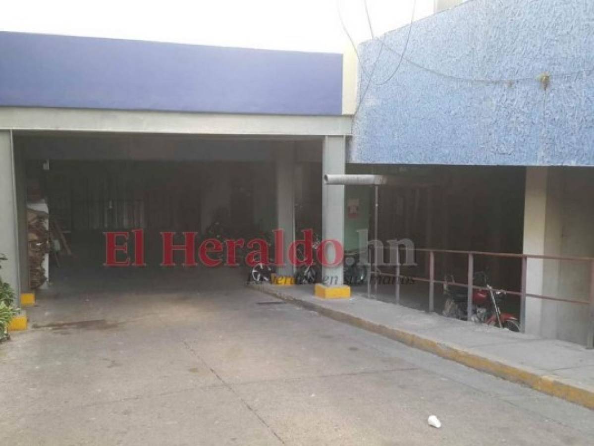 Sindicato: Ratas muerden cadáveres en la morgue del Hospital Escuela