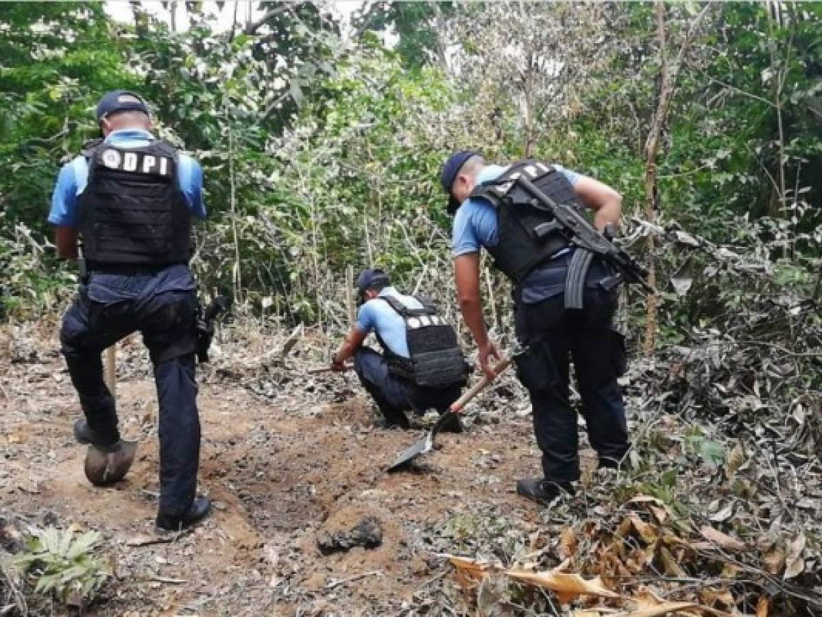 Osamenta encontrada en Tela no pertenece a garífunas secuestrados