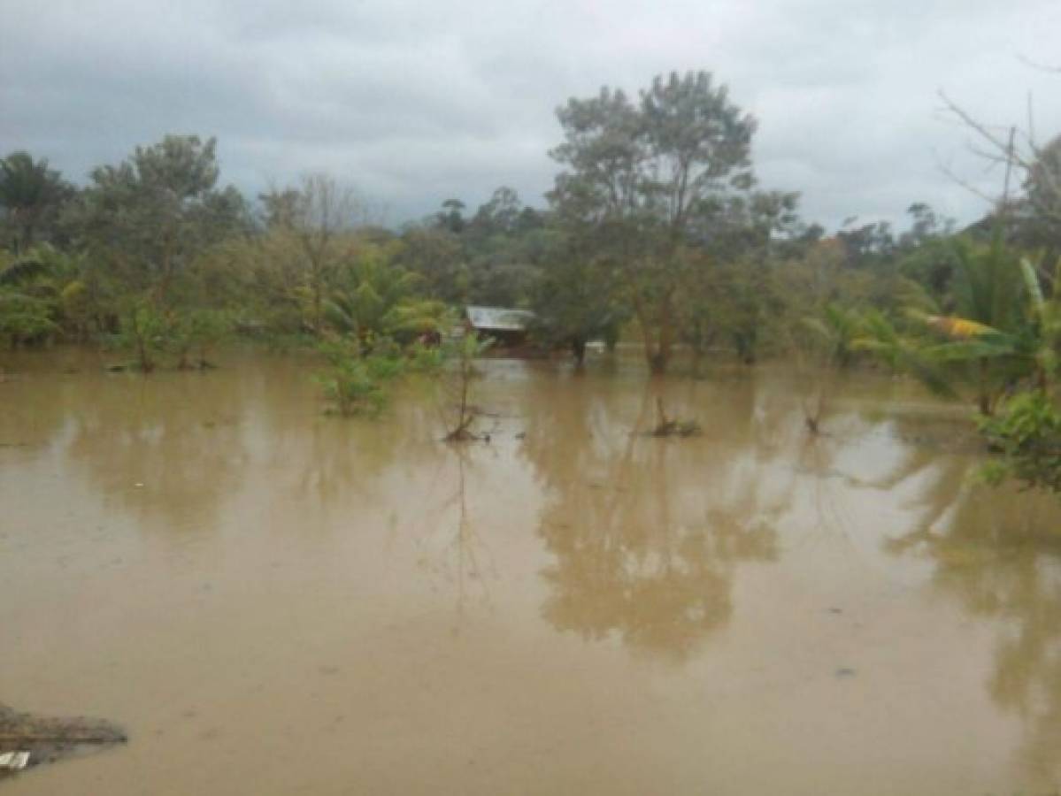 Por fuertes lluvias e inundaciones desalojan a varias familias en norte de Honduras