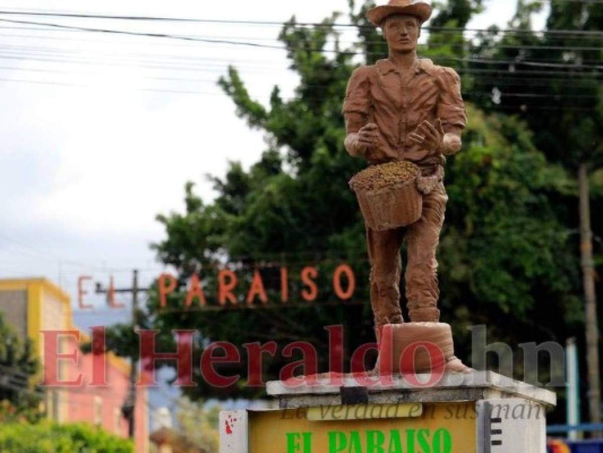 El Paraíso: Cuatro mujeres en contienda por llegar a la Alcaldía