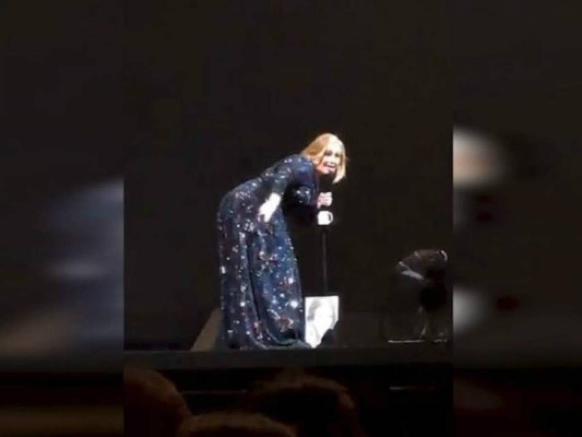 ¡Tremendo susto! Adele casi es atacada por un murciélago durante concierto