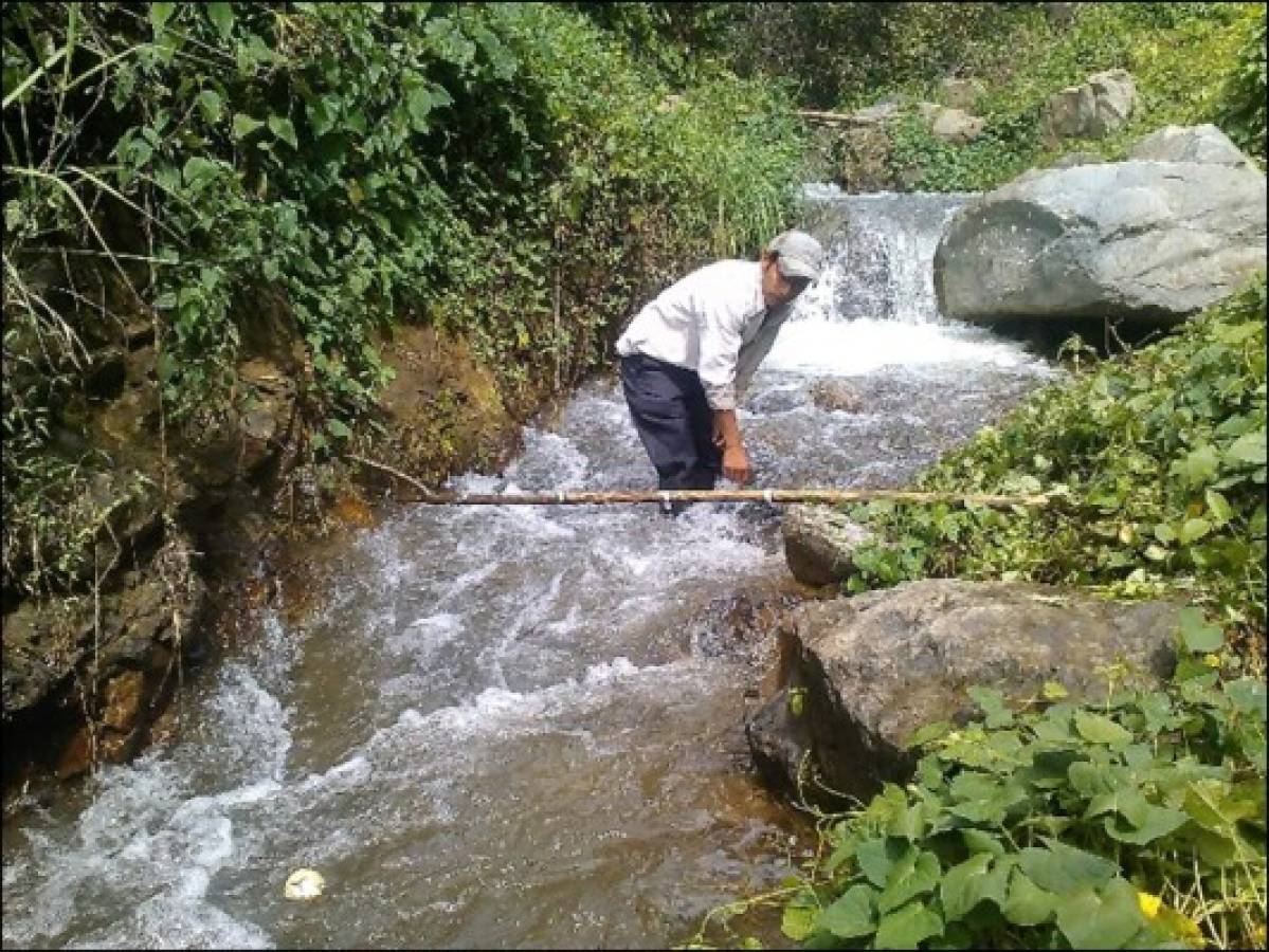 20% más de abonados en siete años en Comayagua