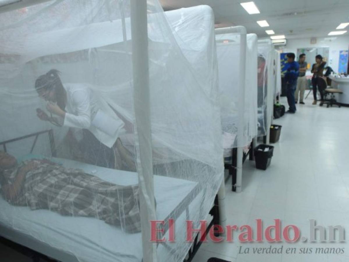 Con operativos nocturnos atacarán el zancudo Aedes aegypti