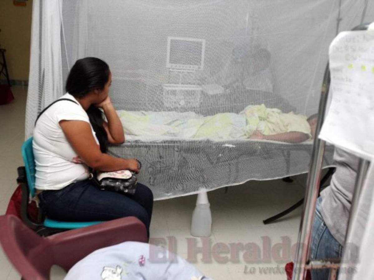 Declaran emergencia por dengue en 12 departamentos de Honduras