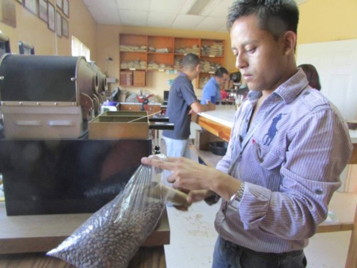 Tostadores de café de El Paraíso pretenden organizarse