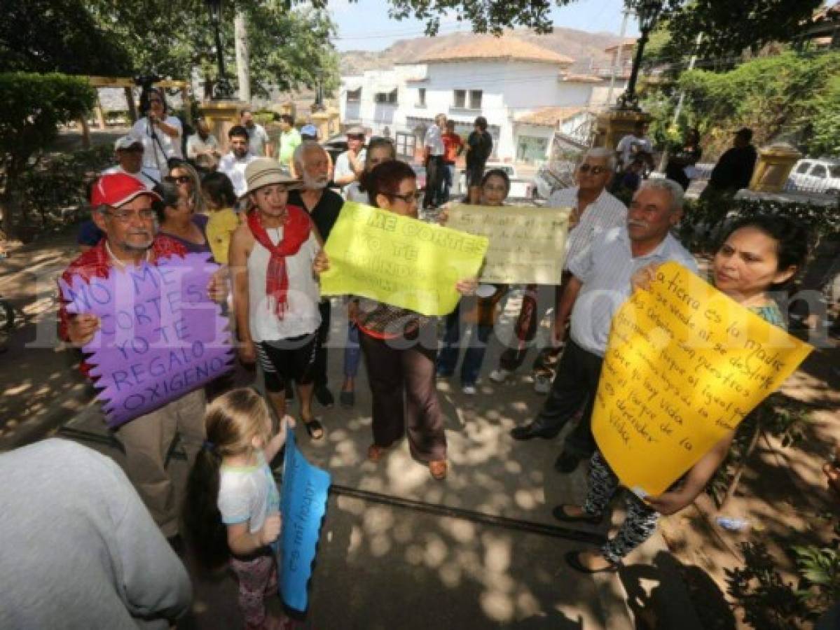 Tegucigalpa: Capitalinos protestan por supuesto plan para talar árboles en parque La Leona