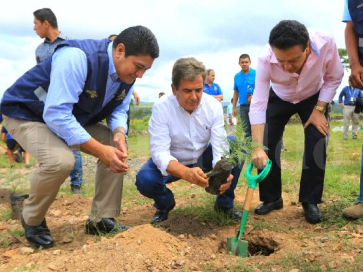 Jorge Luis Pinto y su cuerpo técnico reforestan el Proyecto Goal de El Tizatillo de Fenafuth