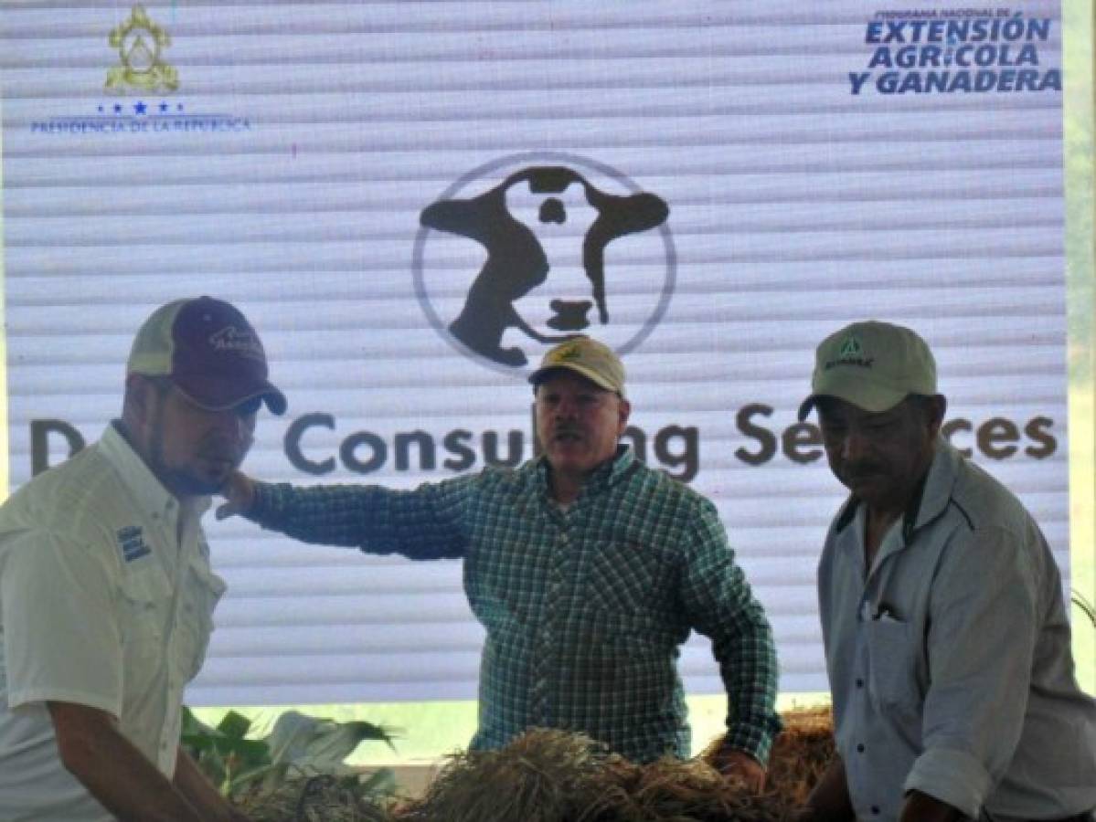 Honduras camino al prototipo de la finca agroempresarial ganadera en producción de carne y leche