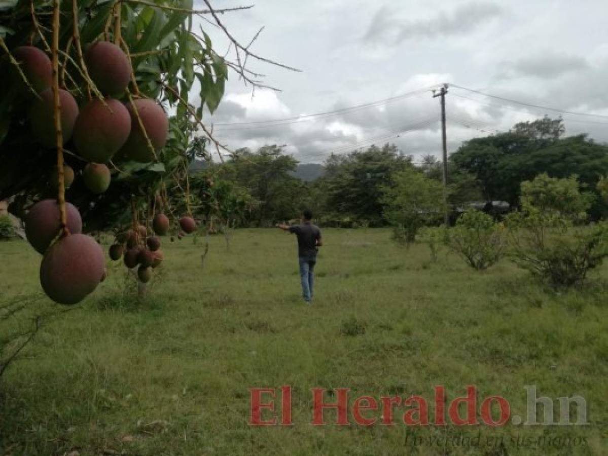 UPNFM no cederá predios para construir megaposta en Danlí