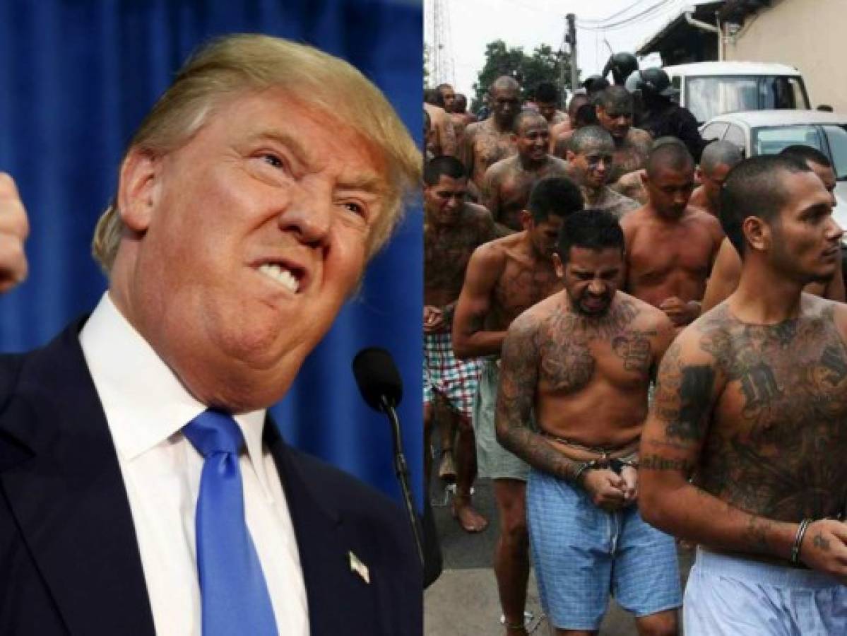 Trump irá a Nueva York en ofensiva contra MS-13 