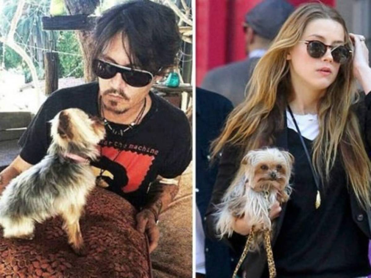 El caso de los perros de Johnny Depp será juzgado en abril