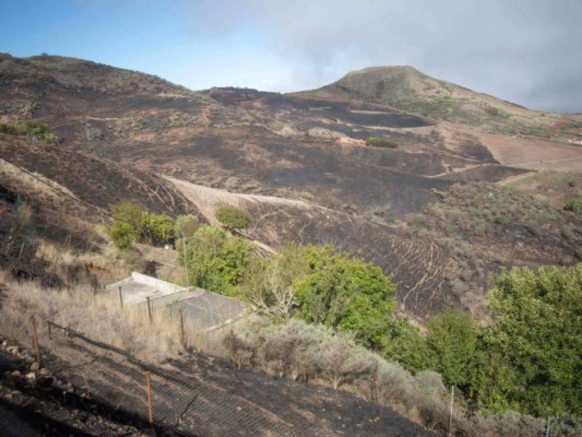 Evacuados por incendio en Gran Canaria retornarán a sus casas