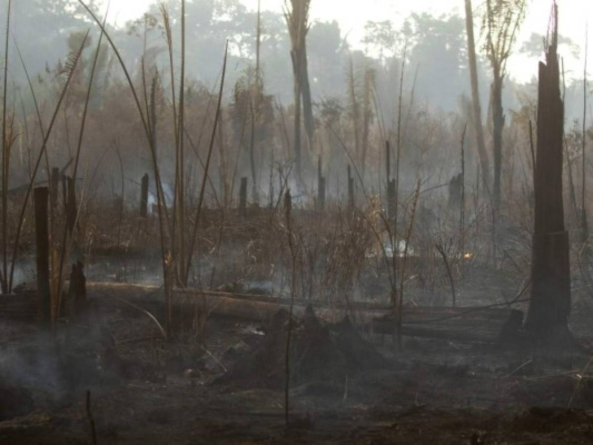 Foto: El Heraldo