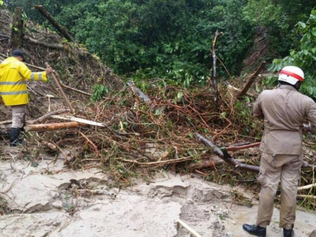 Tres personas muertas y dos desaparecidas deja alud de tierra en zona montañosa de Cuyamel, Omoa