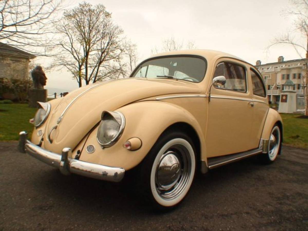 Ocho datos curiosos del modelo más reconocido de Volkswagen la 'cucarachita'