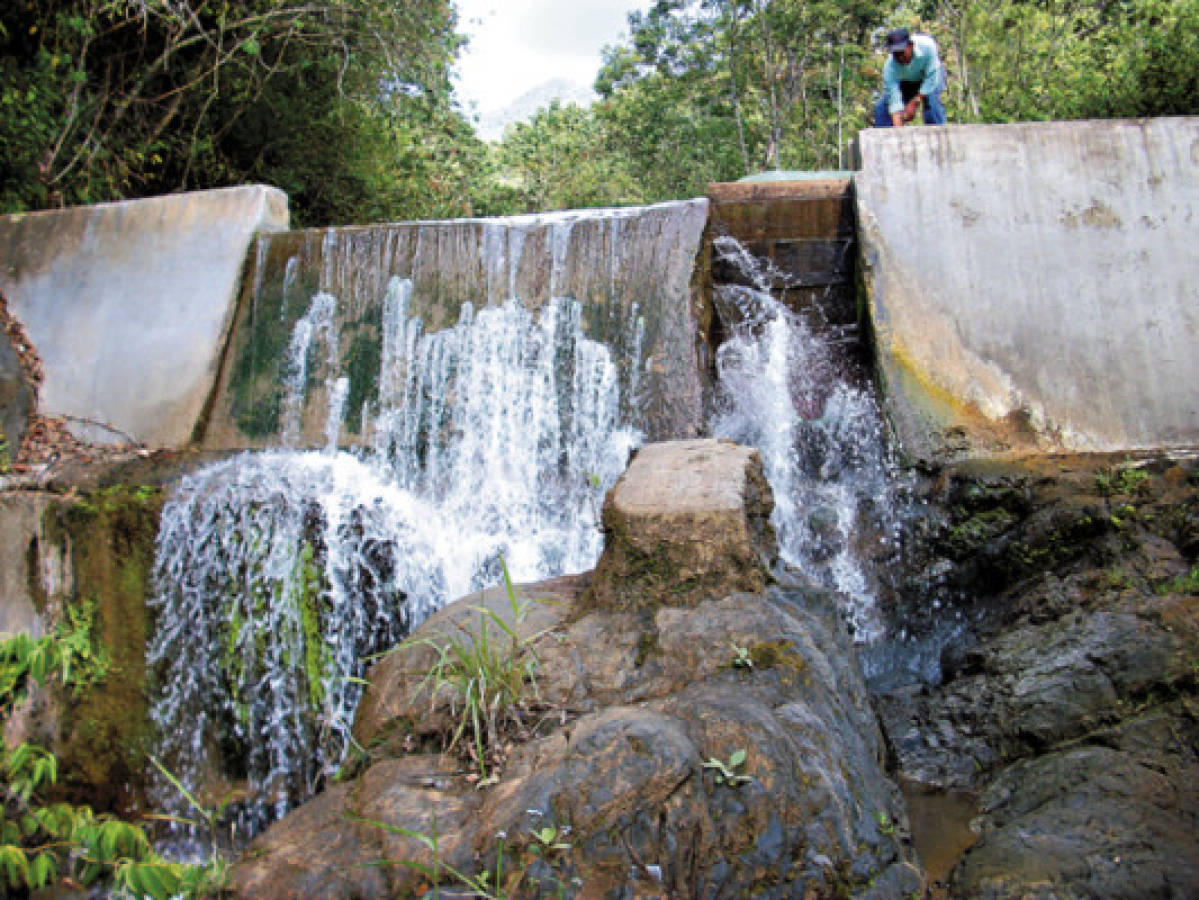 Ciudades de la zona central de Honduras luchan para erradicar sequía