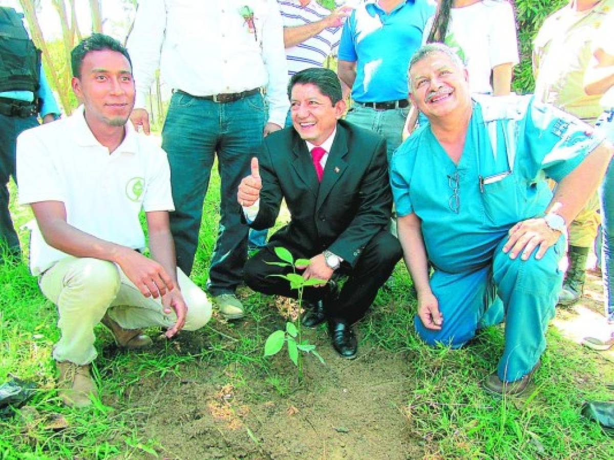 Reforestación aérea, la nueva apuesta para recuperar los bosques