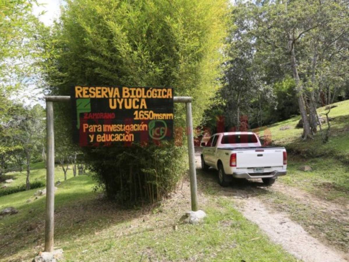 Una selva encantada se esconde en Uyuca