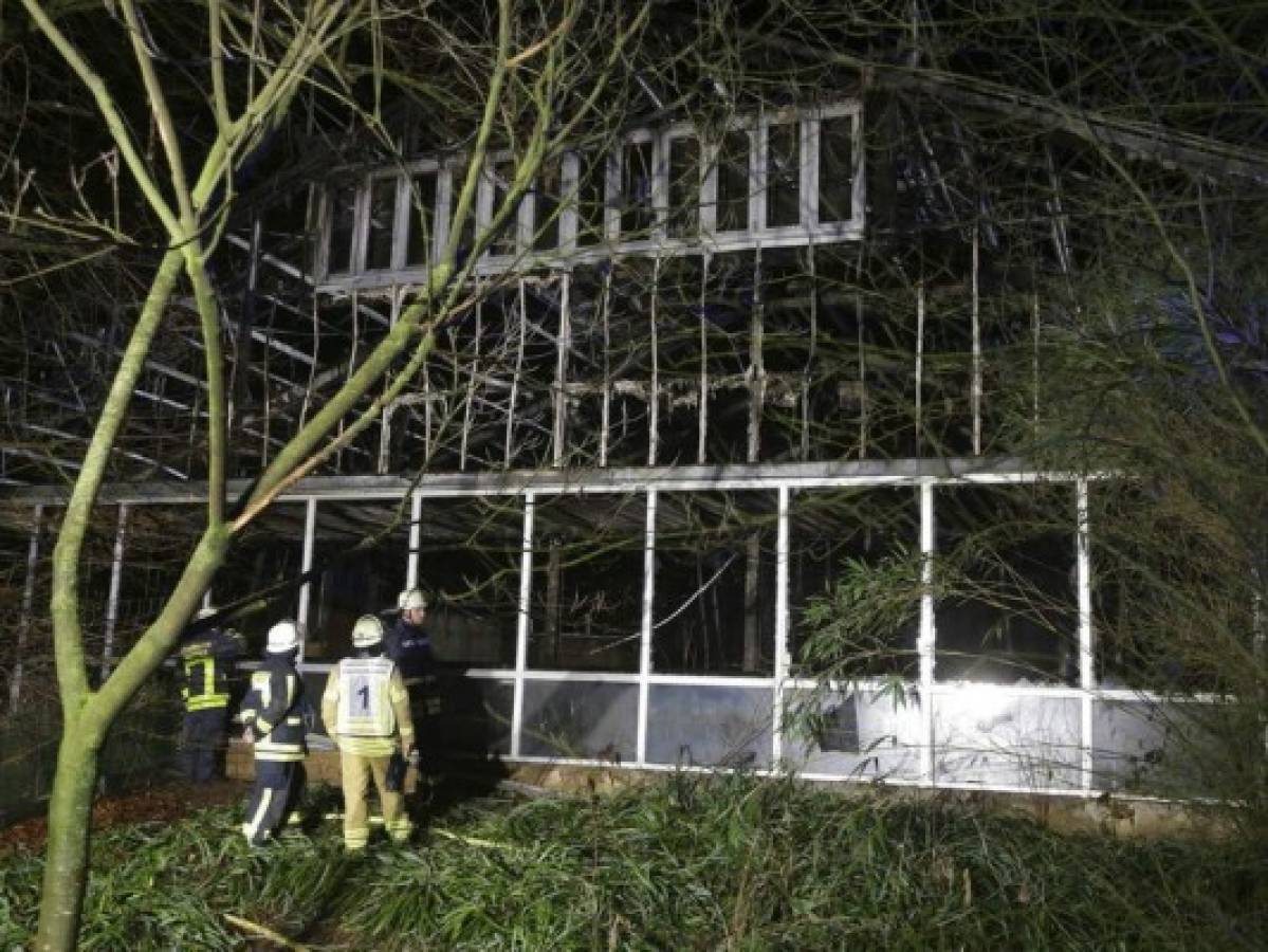 Bomberos están parados frente al albergue de monos calcinado en el zoológico Krefeld en Krefeld, Alemania, el miércoles 1 de enero de 2020. (David Young/dpa via AP)