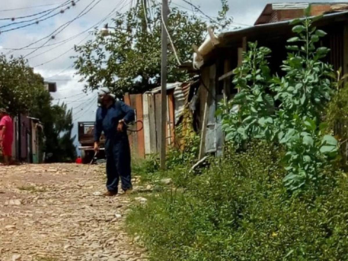 Más de 30 casas positivas por chinche en la colonia Reynel Fúnez