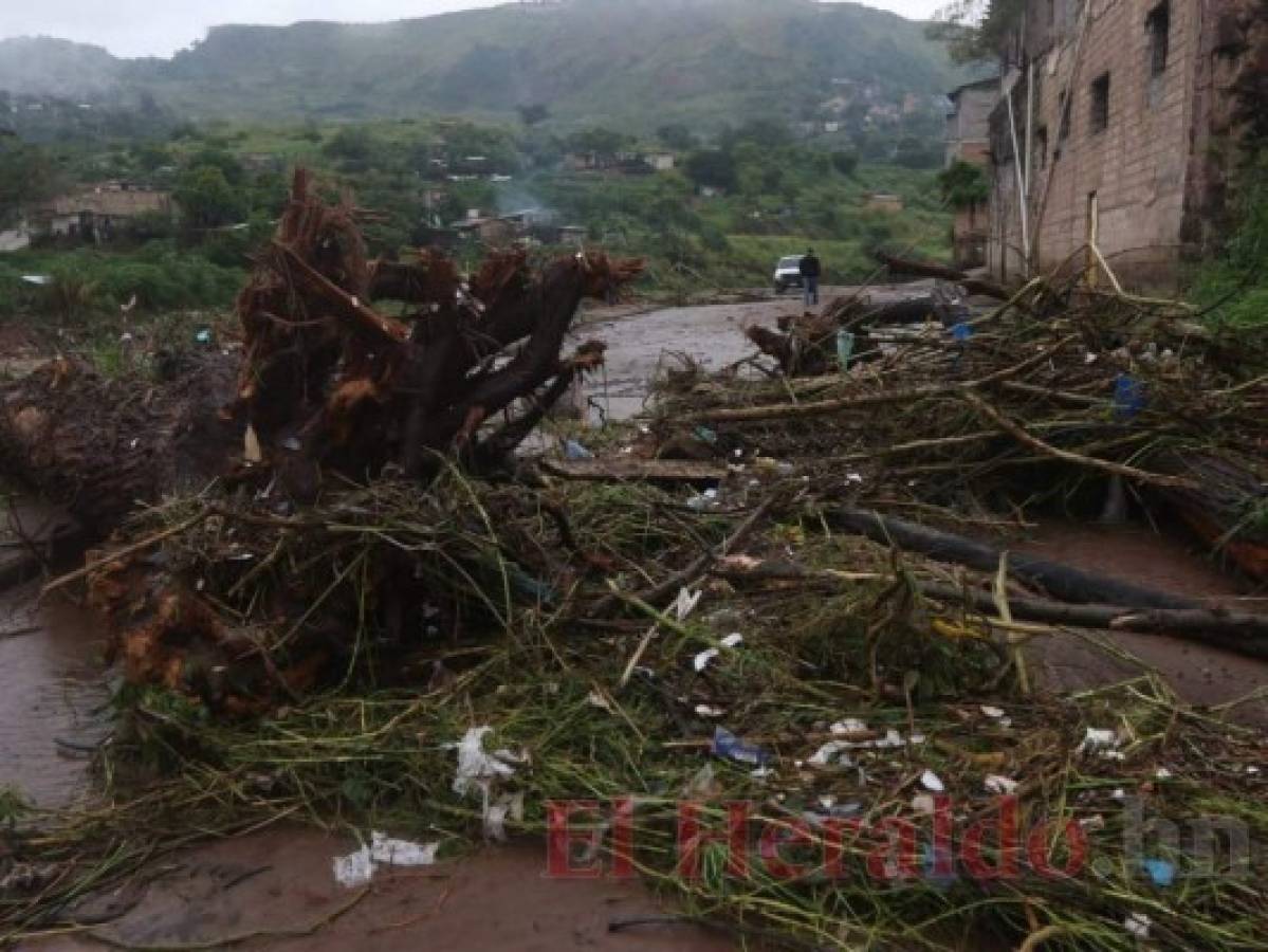 Derrumbes sobre vías e inundaciones en mercados deja Eta en la capital