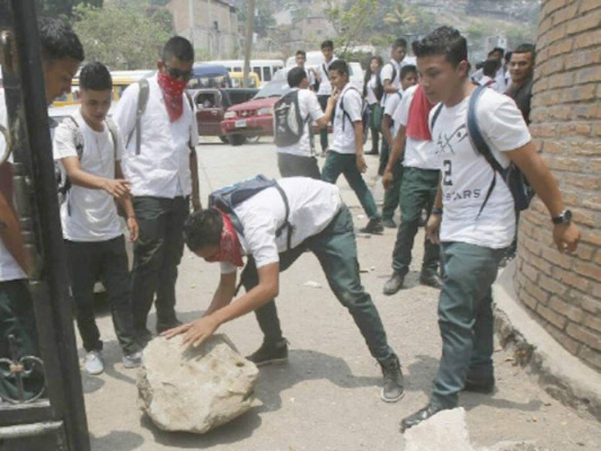 Educación incluye la plantación de árboles al TES