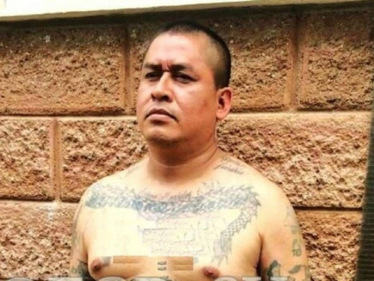 Pandillero salvadoreño tenía enterrados más de 160,000 dólares en su casa  