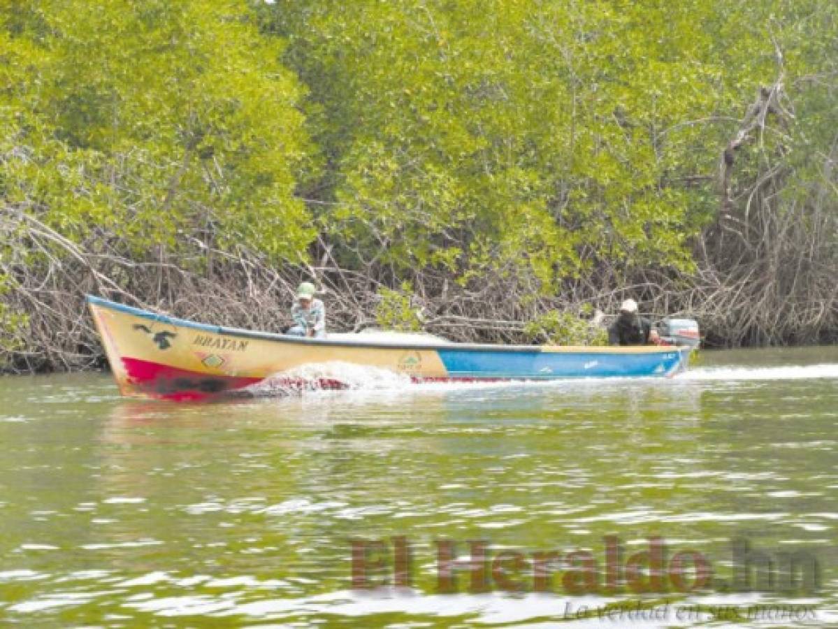 Muerte de moluscos se ha extendido a toda la costa del Golfo de Fonseca