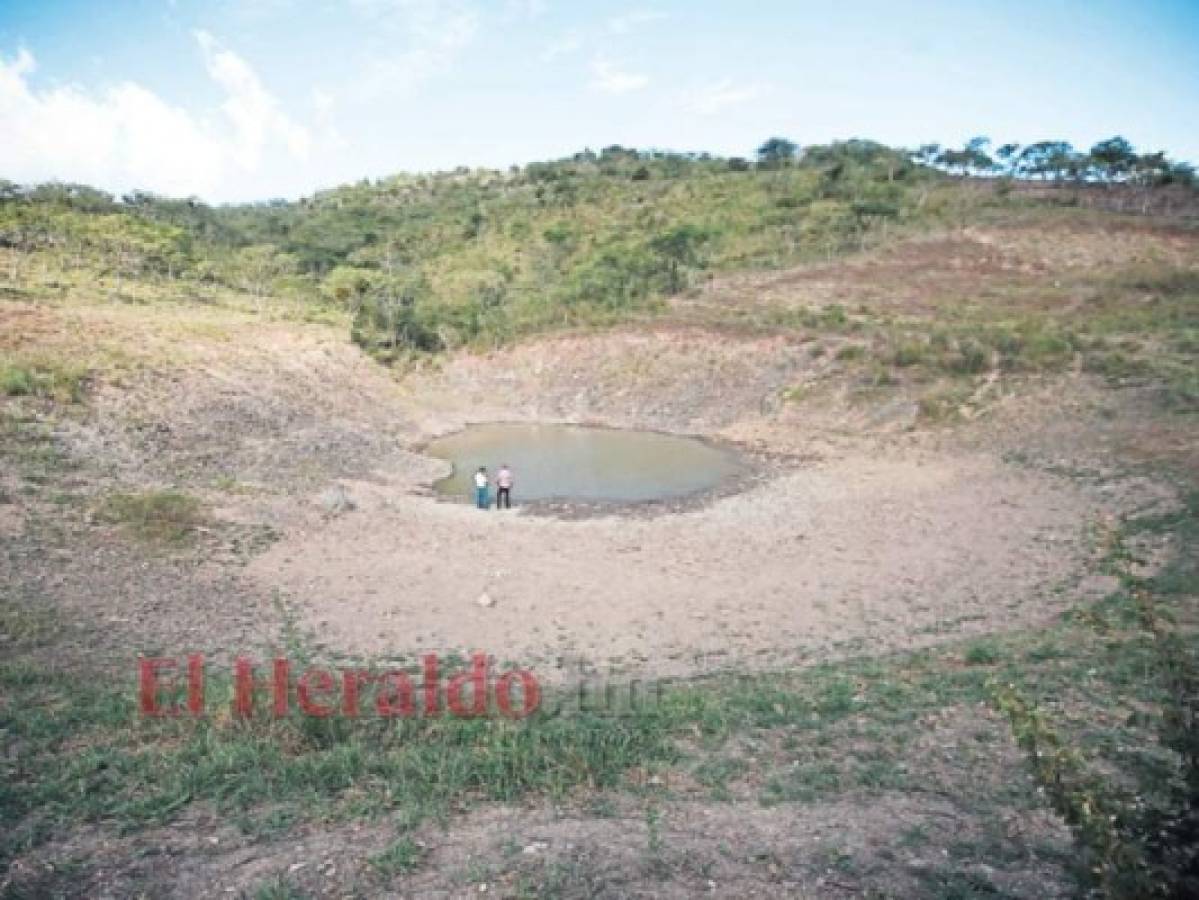 El gobierno reconoce que más de cien lagunas no funcionan. Foto: EL HERALDO