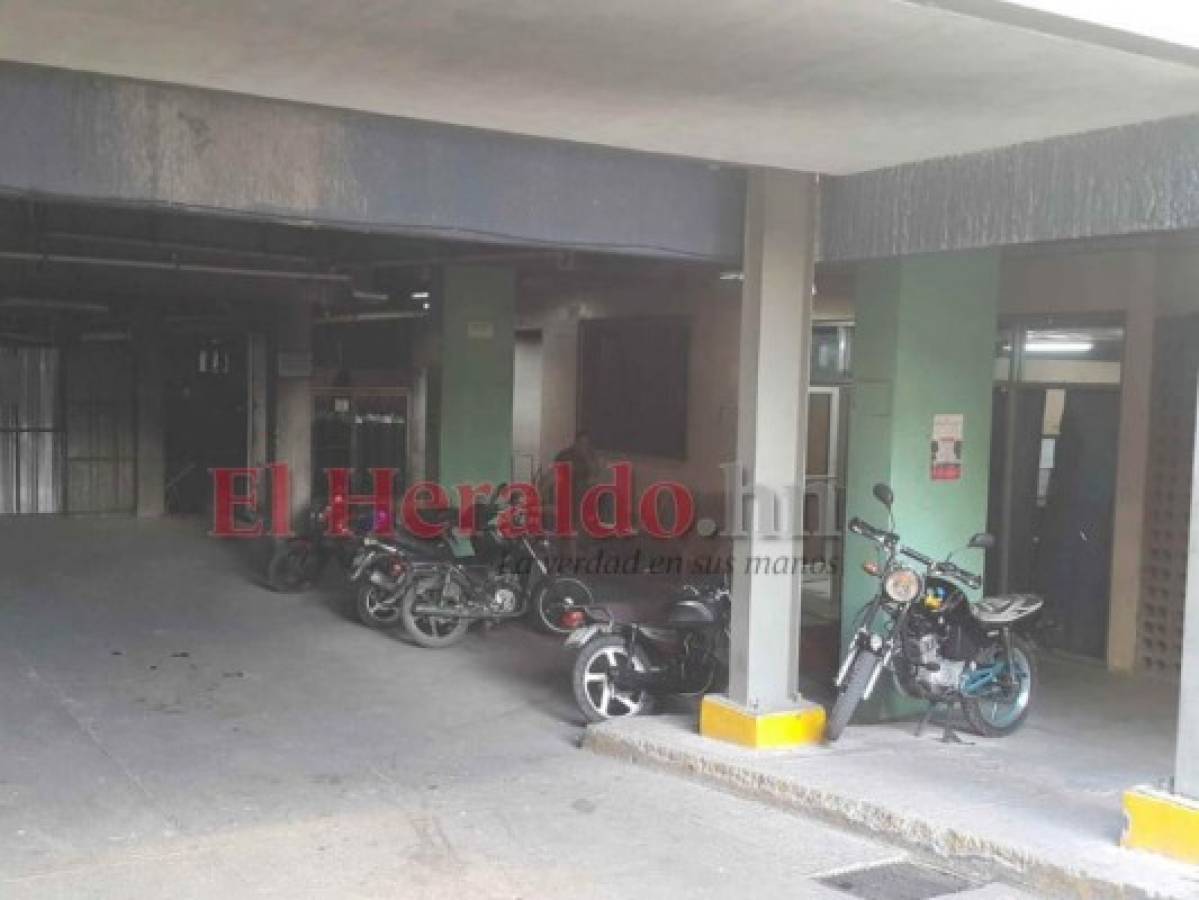 Sindicato: Ratas muerden cadáveres en la morgue del Hospital Escuela