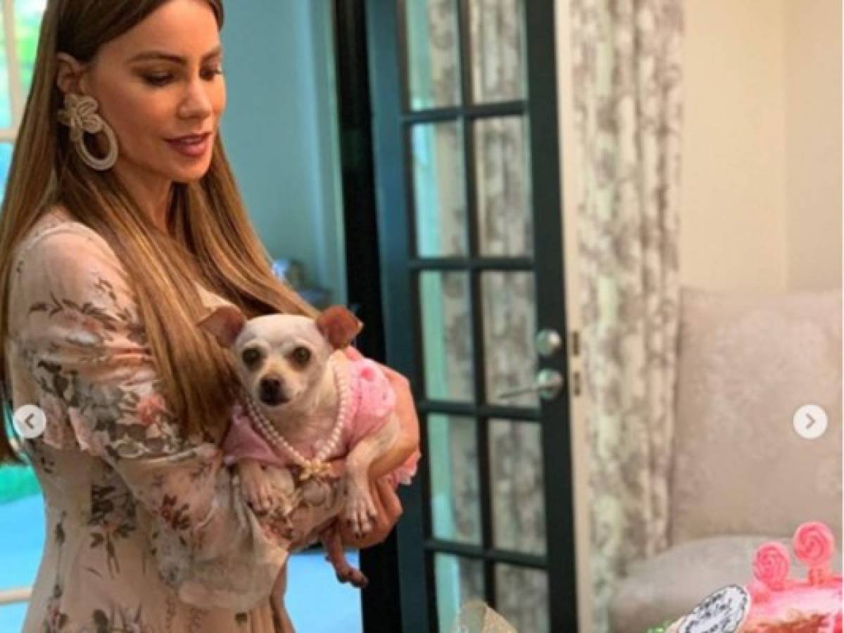 FOTOS: Sofía Vergara celebra extravagante fiesta de cumpleaños a su perrita