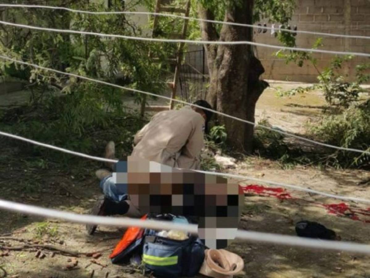 Hombre muere al caer de un árbol de tamarindo en Comayagua