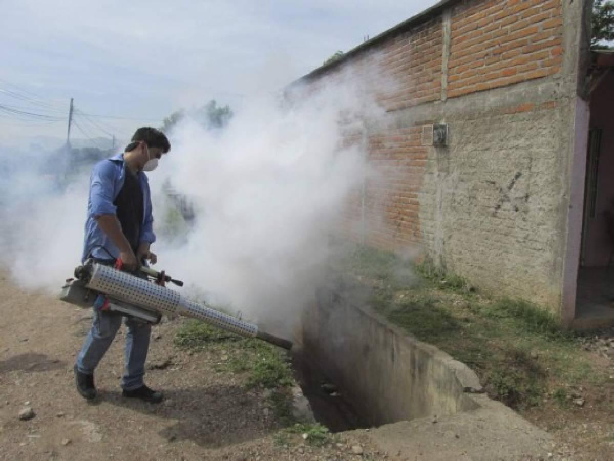 Solicite gratis la fumigación de barrio, colonia o escuela con la AMDC