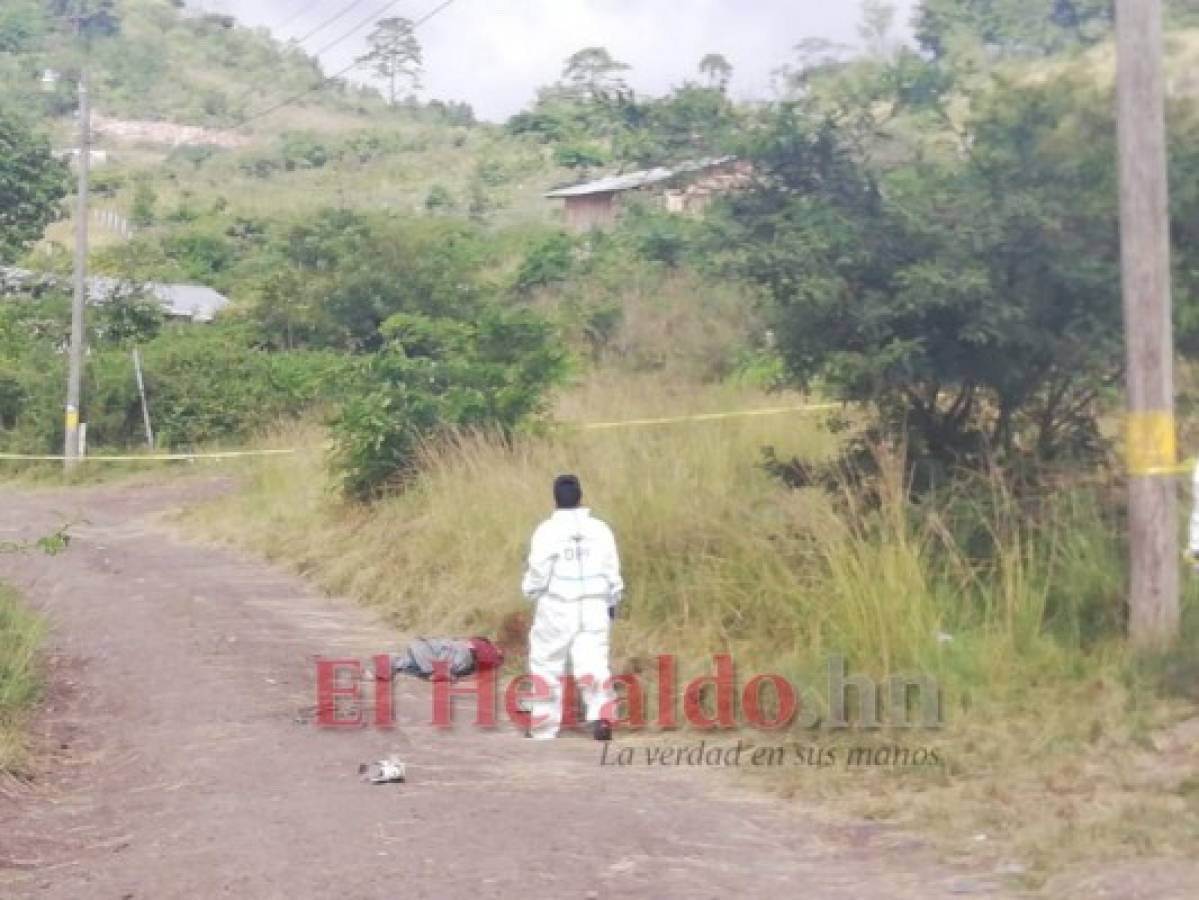 Hallan degollado a un hombre en la aldea El Rodeo, Francisco Morazán