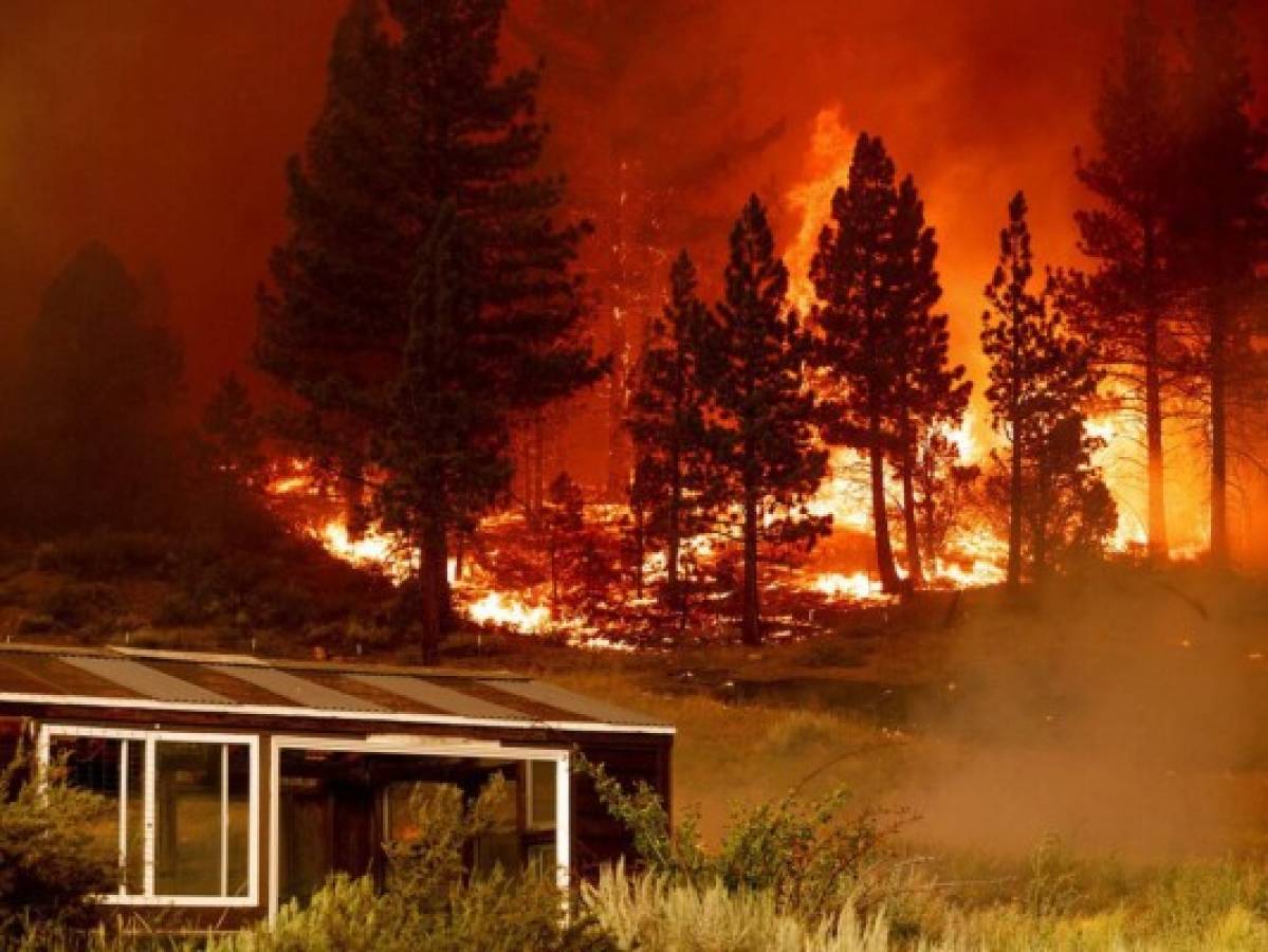 Empresa eléctrica de California estaría involucrada en incendios forestales