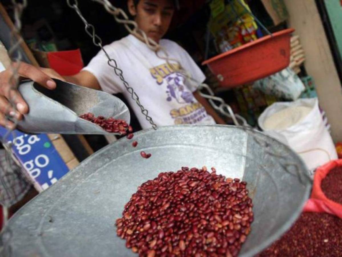 Honduras: Reserva de frijoles cubre la demanda de cinco meses