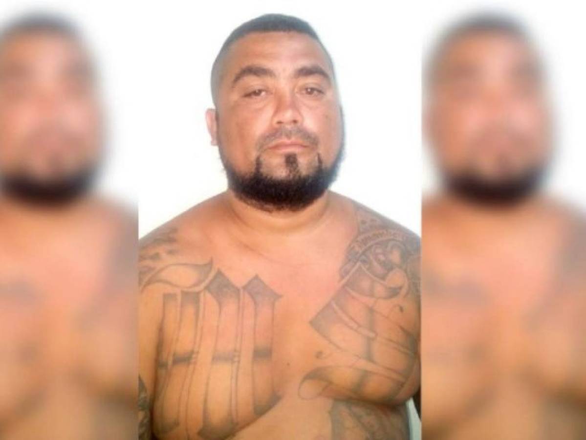 Cae en San Pedro Sula cabecilla de la Mara Salvatrucha con apuntes de cobros de extorsión