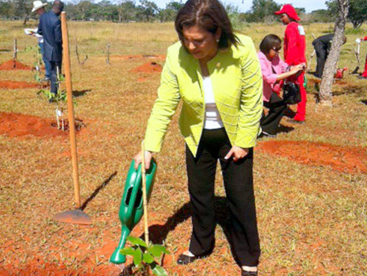 Embajada de Honduras en Brasil apoya actividades de protección a recursos naturales