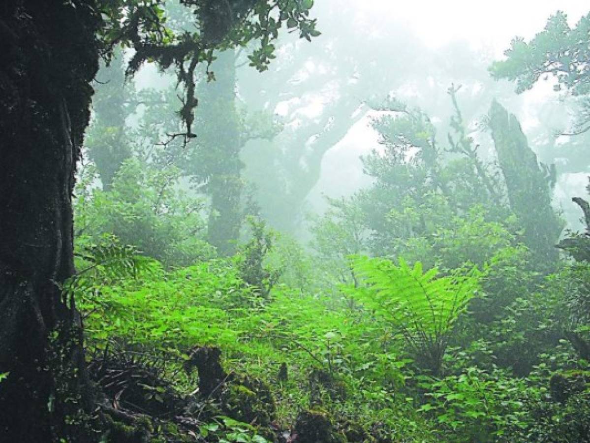 San Marcos de Colón es declarado Reserva de Biósfera por UNESCO