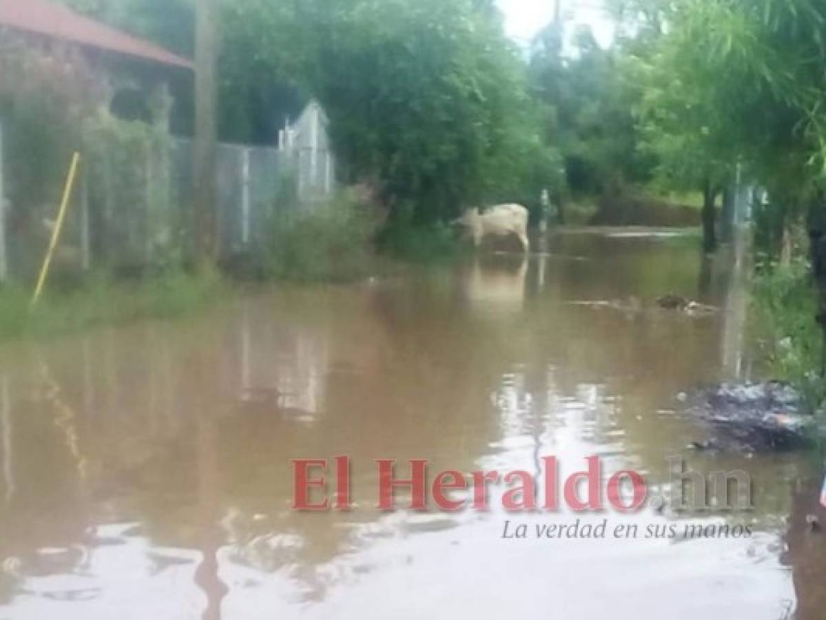 Decretan alerta verde durante 48 horas en Valle; hay inundaciones