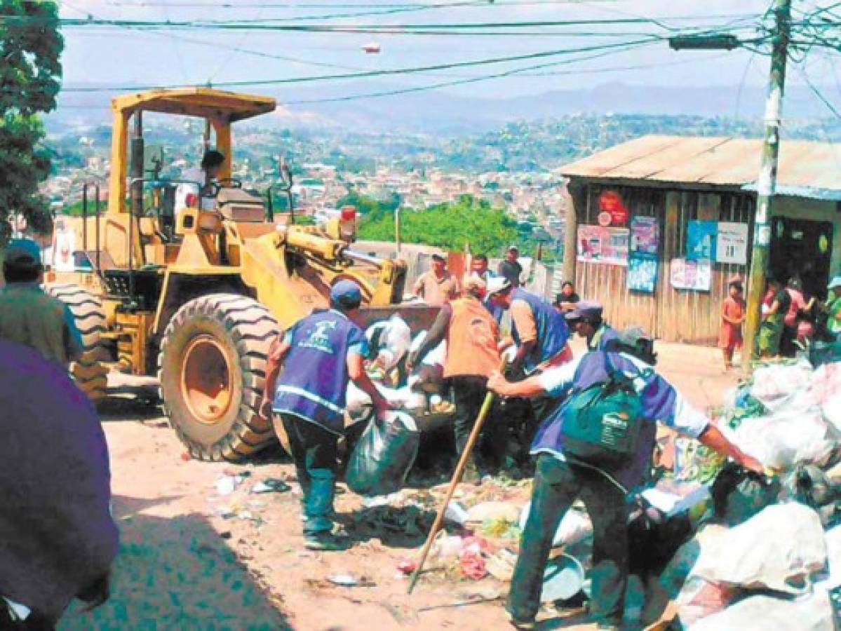 50% de casas dan positivo por larva